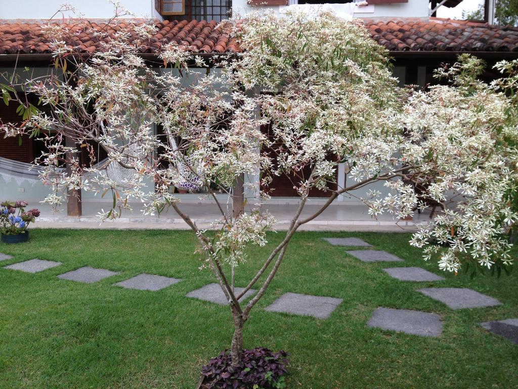 Pousada Acai Paraty Ngoại thất bức ảnh