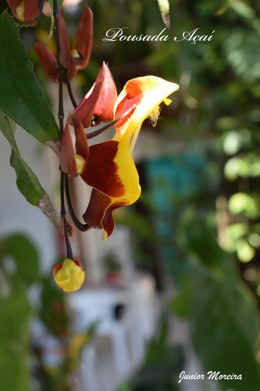 Pousada Acai Paraty Ngoại thất bức ảnh